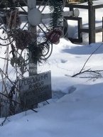 Сбешкина Анисья Михайловна